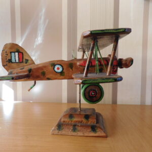 Scratch Built Bi-Plane